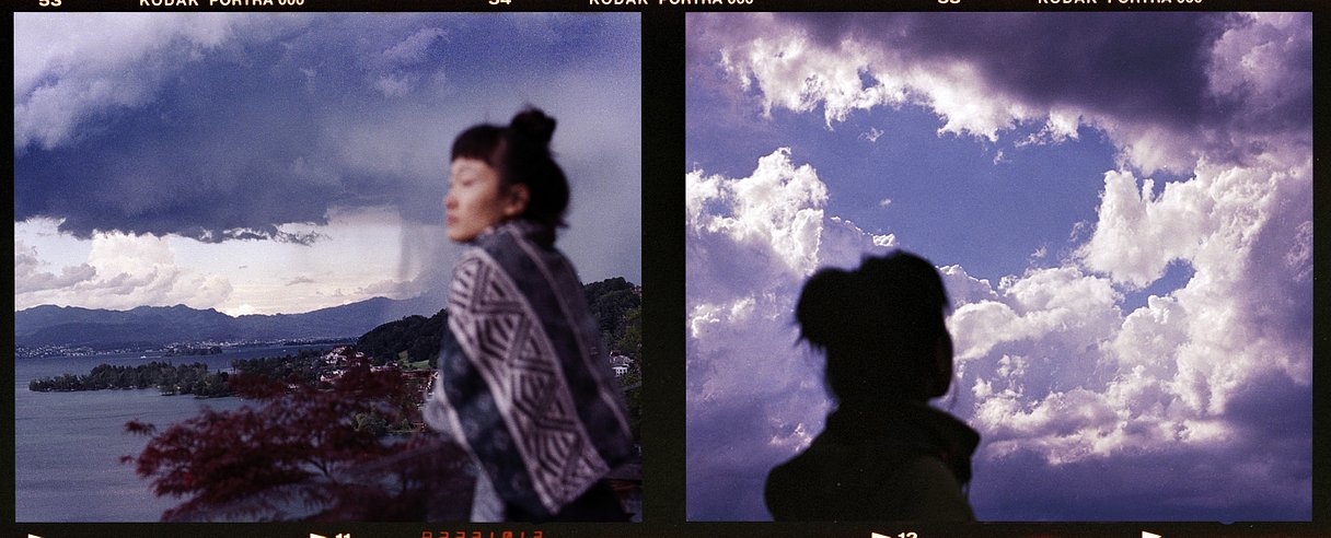 Kodak Ektacolor Pro 800 (120 Roll Film, Single Roll)