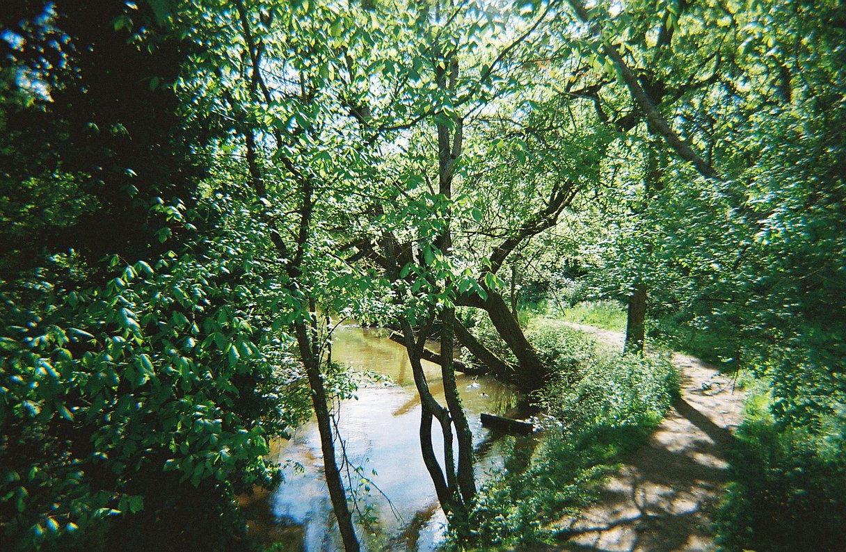 Kodak UltraMax 400