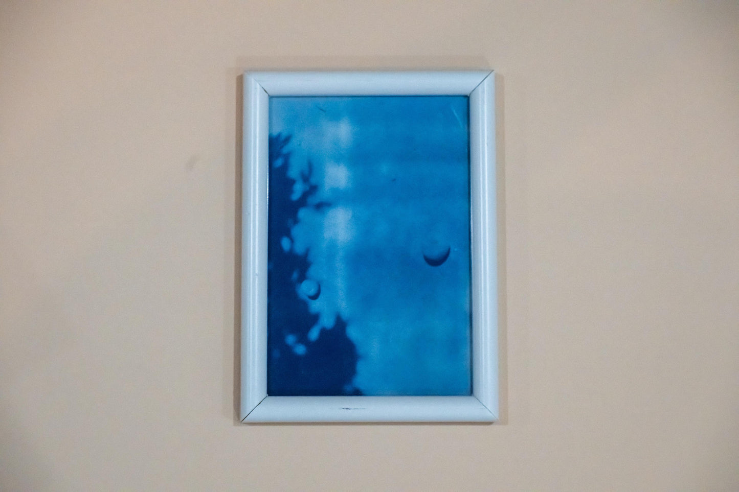 Wildflowers Cyanotype on Paper