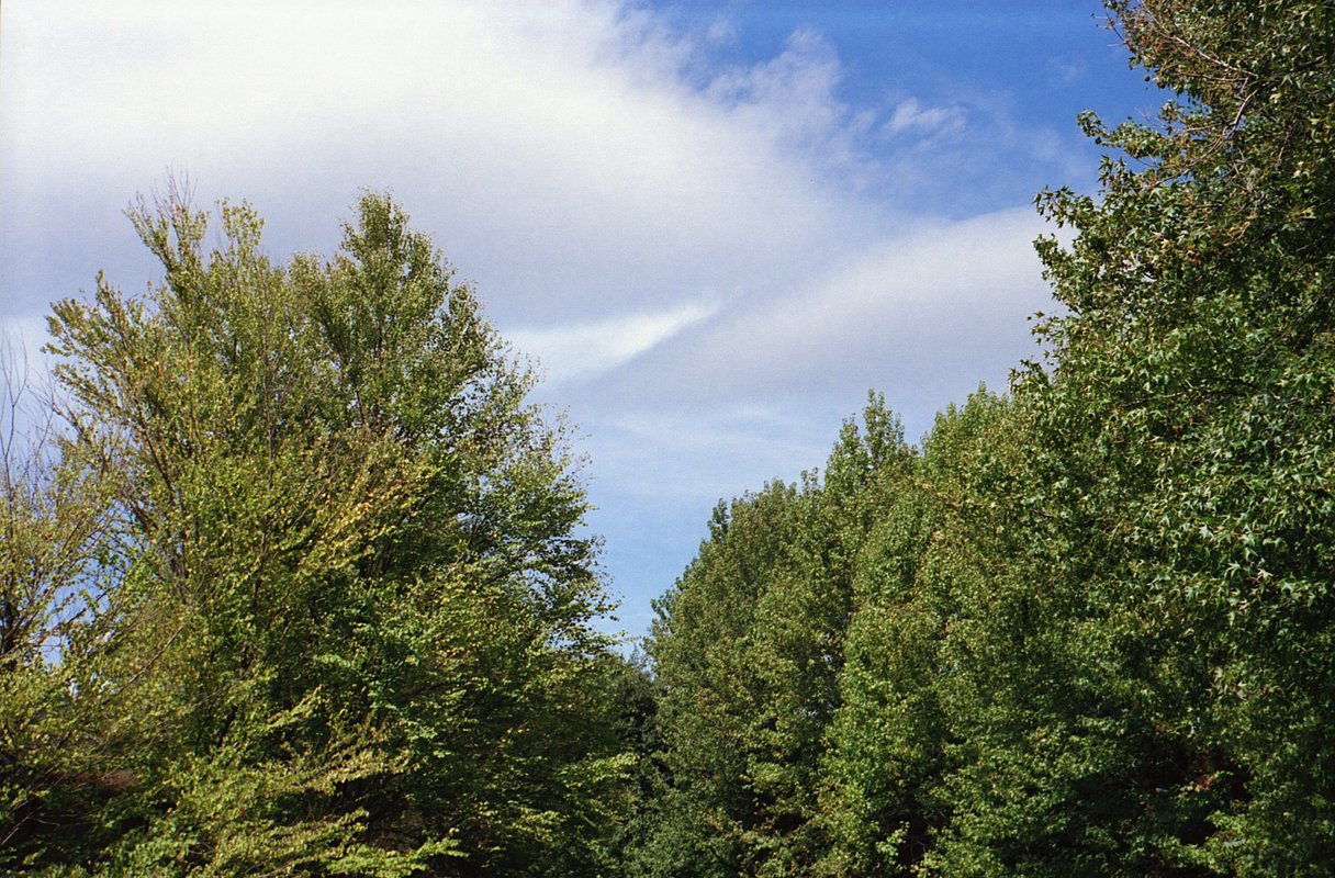 Kodak Professional Ektar 100 Color Negative Film