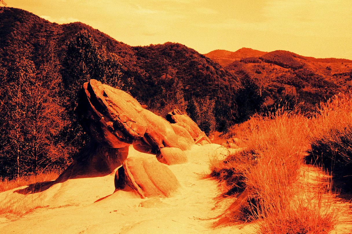 HARMAN Red 125 Redscale