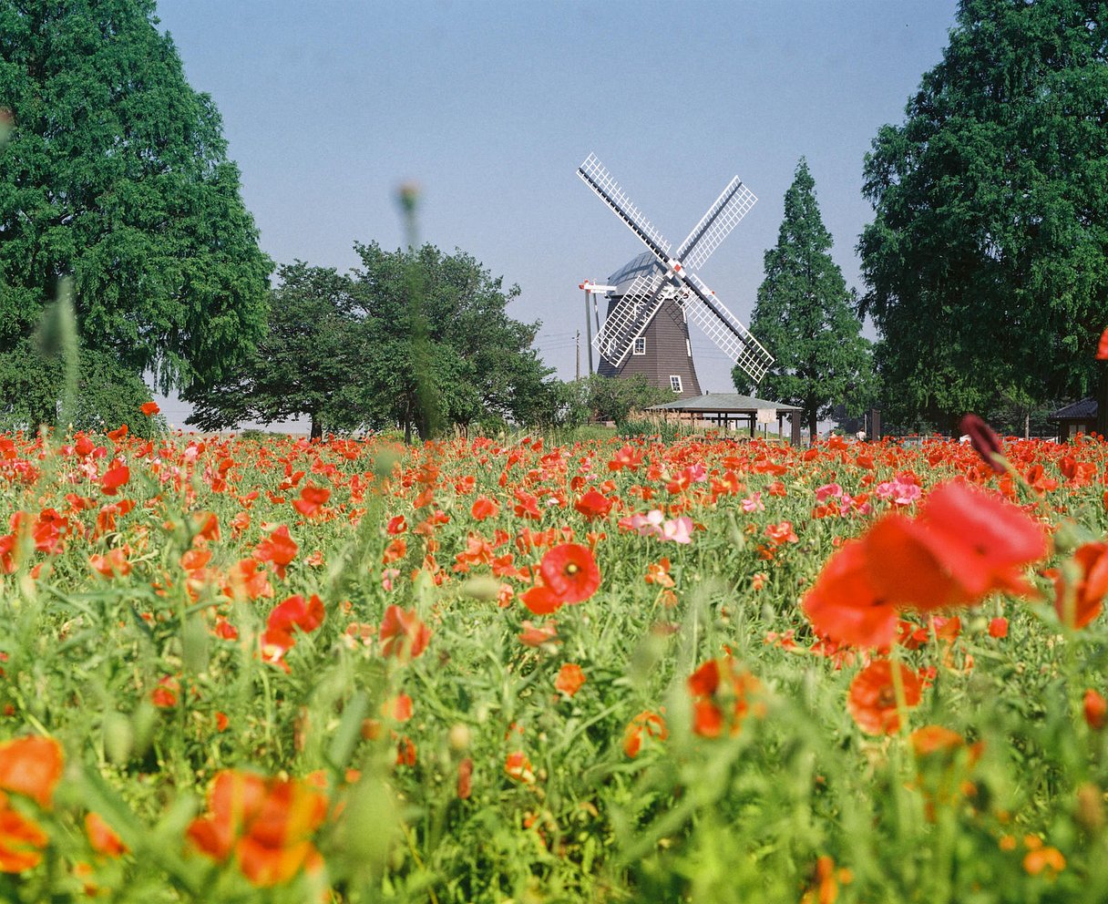 Kodak Gold 200