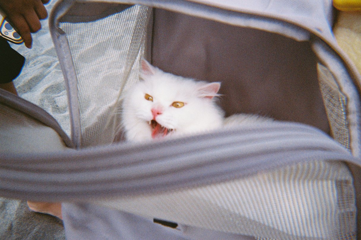 Kodak UltraMax 400