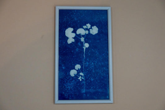 Wildflower Cyanotype on Paper