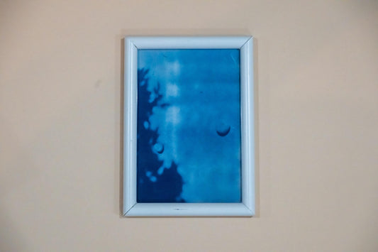 Wildflowers Cyanotype on Paper